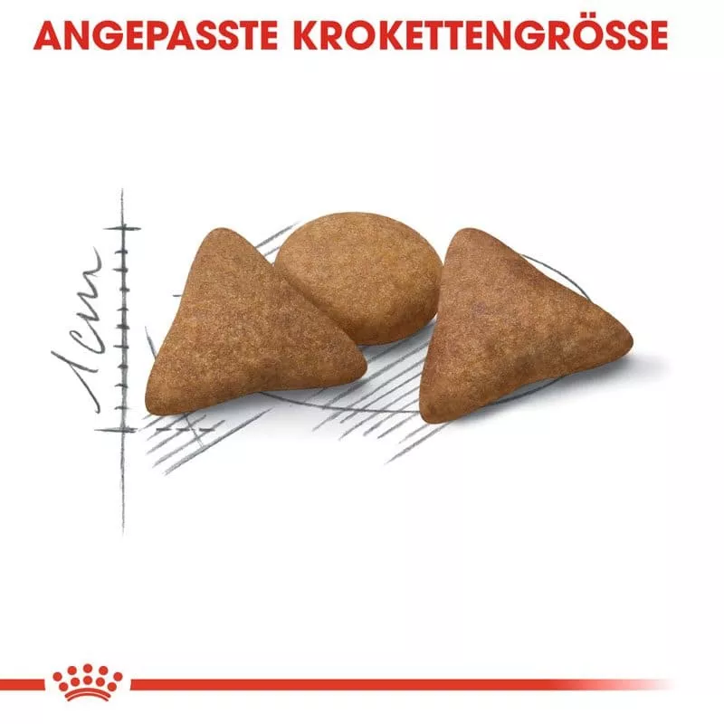 FHN Indoor Appetite Ctrl. 2kg